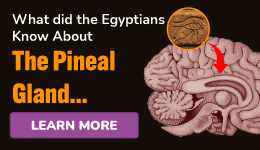 Pineal XT supplement for pineal gland activation and spiritual awakening